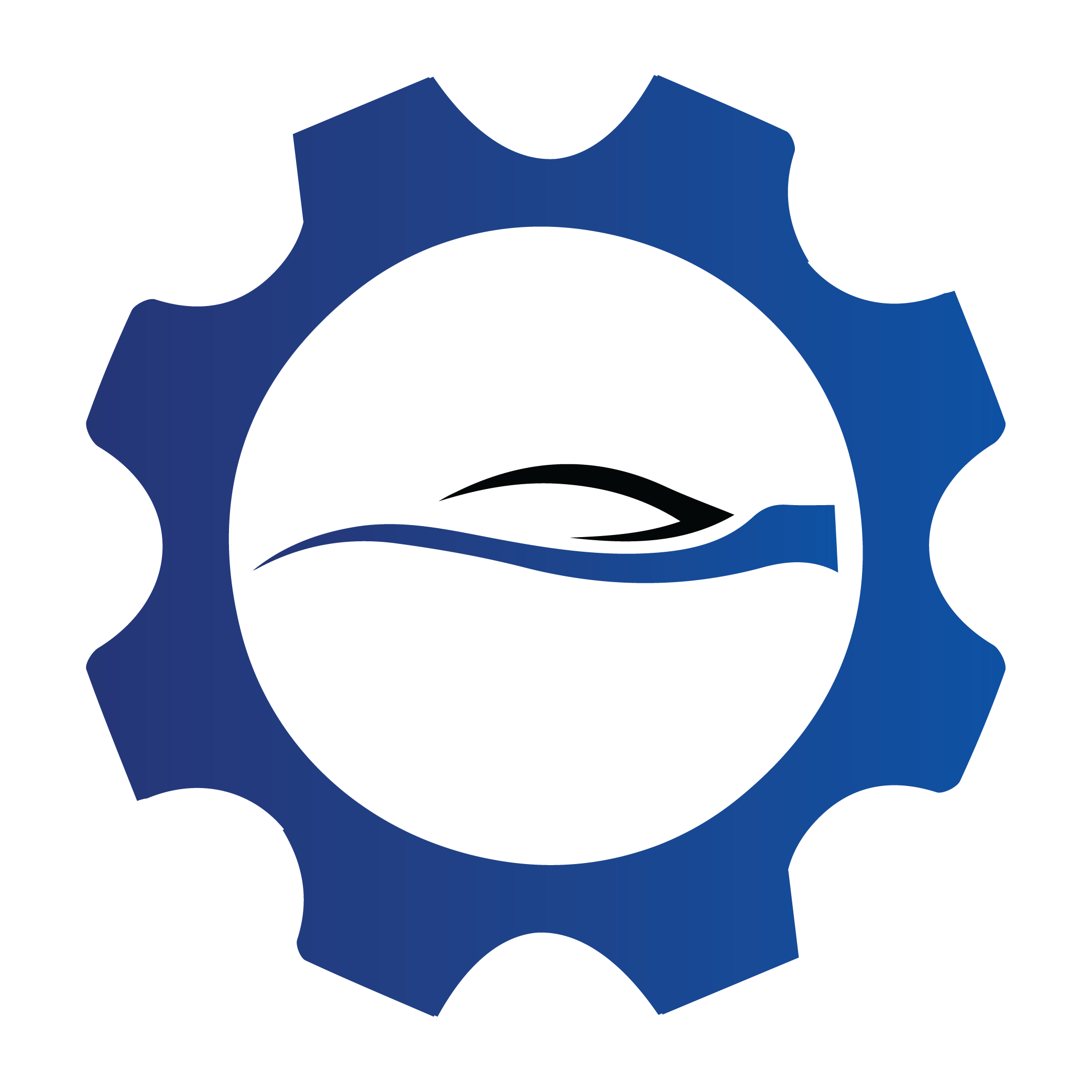 autoinpectup-logo